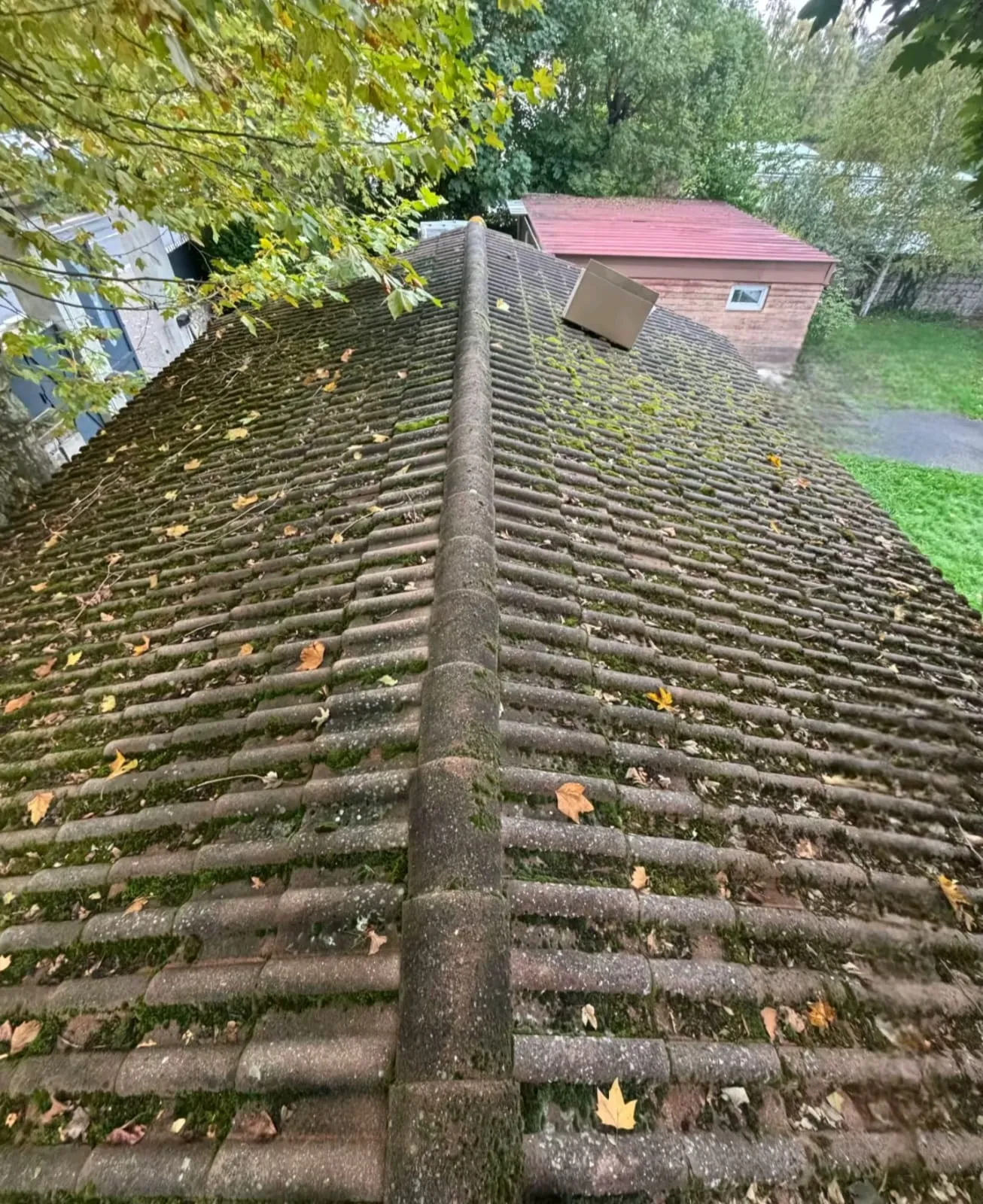 Toiture en tuiles avant après nettoyage et démoussage par Toiture Winter à Cholet — avant