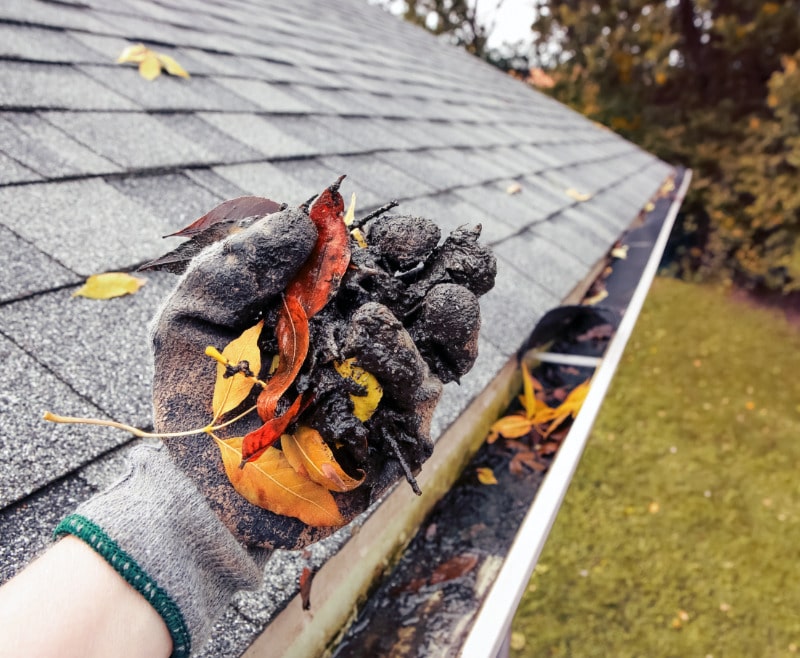 Gouttière encombrée de feuilles nettoyée par Toiture Winter