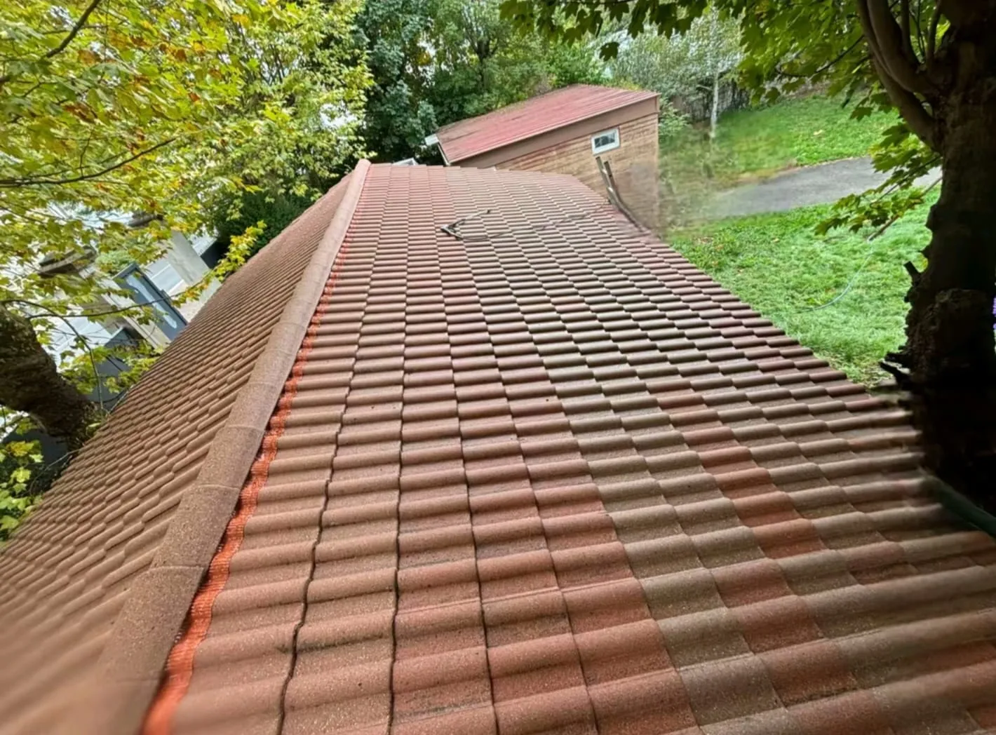 Toiture en tuiles avant après nettoyage et démoussage par Toiture Winter à Cholet — après